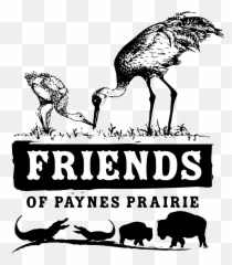 Friends Of Paynes Prairie Inc - Invertebrates Reptiles And Emoji,Handicap Leopard Emotion Garter