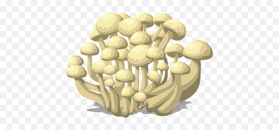 Over 200 Free Mushroom Vectors - Pixabay Emoji,Mushroom Cloud Emoji Over 200 Free Mushroom Vectors - Pixabay Emoji,Mushroom Cloud Emoji