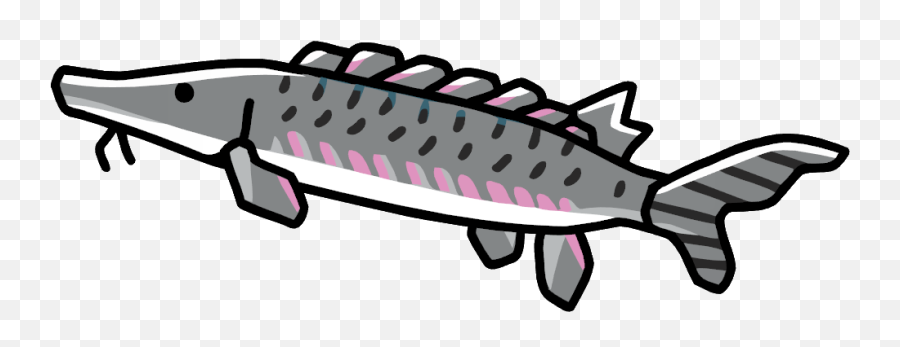 Little Explorers - Fish Reach Museum Transparent Sturgeon Cartoon Emoji,Fish Emoji