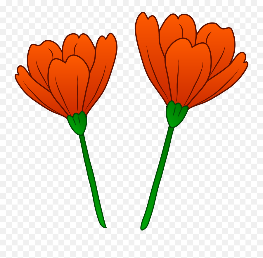 Free Red Poppy Cliparts Download Free Clip Art Free Clip - California Poppy Clipart Emoji,Remembrance Poppy Emoji