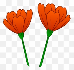 Free Red Poppy Cliparts Download Free Clip Art Free Clip - California Poppy Clipart Emoji,Remembrance Poppy Emoji