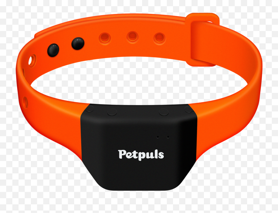 Introducing Petpuls The Ai - Powered Dog Collar That Gives Petpuls Collar Emoji,Emotion Pets Playfuls