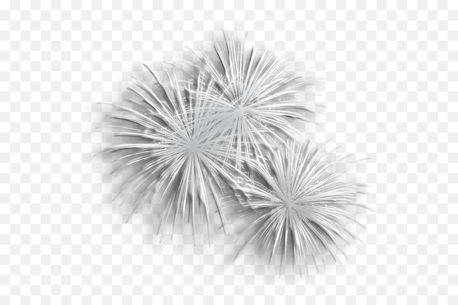 Transparent Silver Fireworks Png - Transparent Background White Fireworks Png Emoji,Fireworks Emoji Transparent