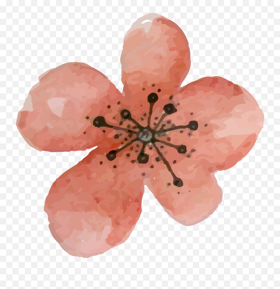 Flower Pink Flores Acuarela Acuarella Sticker By - Girly Emoji,Acuarela Emojis