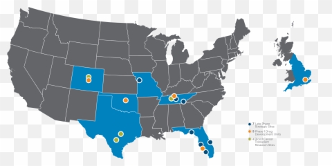 Site Management Organization Png U0026 Free Site Management - 2020 Democratic Primary Map Emoji,Emoji Transplant