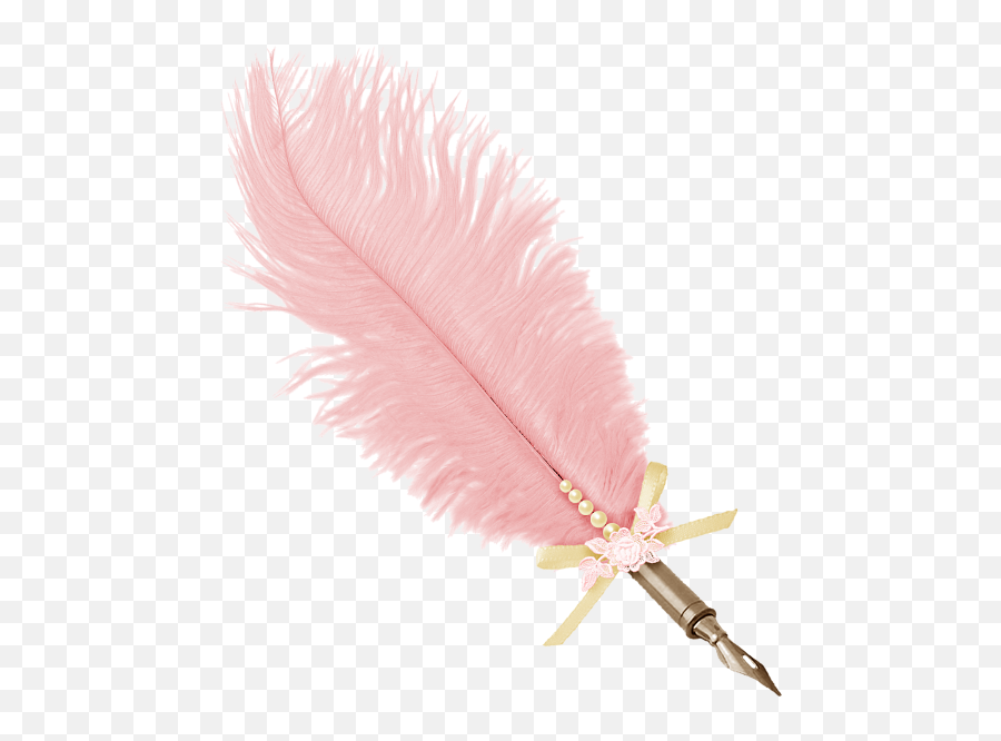 Courses U2014 Jen Kupcho - Pink Ostrich Feather Png Emoji,Frear Based Emotions