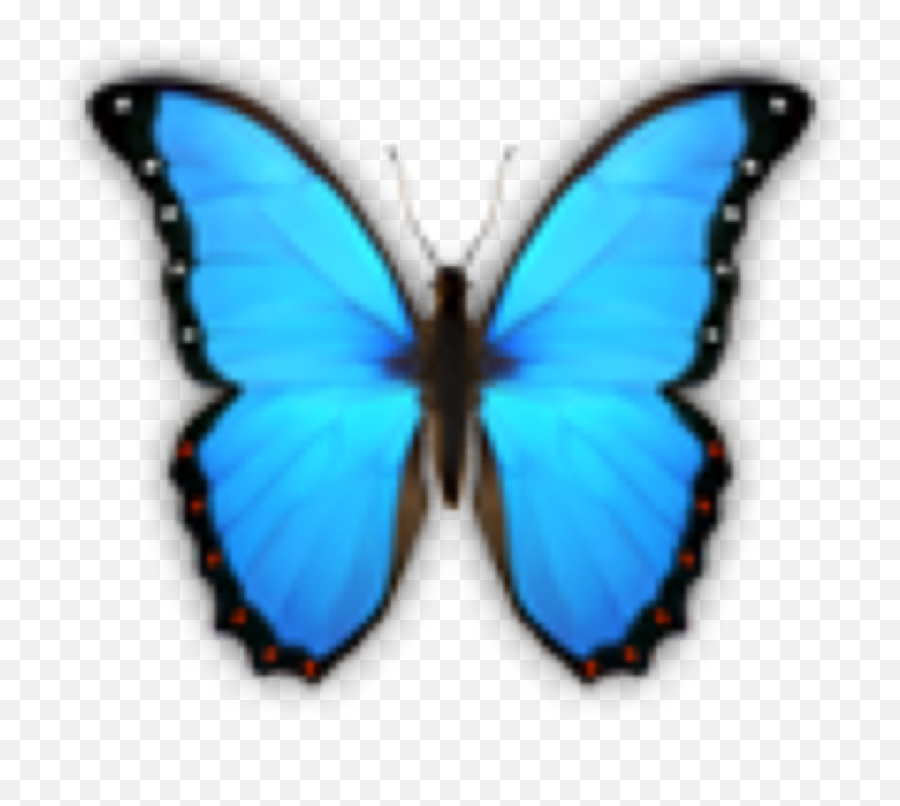 Butterfly Butterflies Emoji Sticker - Butterfly Emoji Png,Where To Find Butterfly Emojis