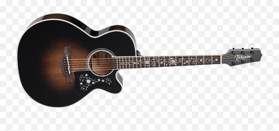 Theguitaraddict February 2016 - Takamine Ef450c Tt Tbb Emoji,Erock My Emotions