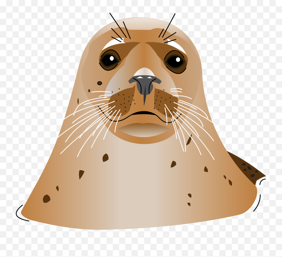 Painted Seal Head Free Image Download - Equator Marker Emoji,Ocean Animal Emotions