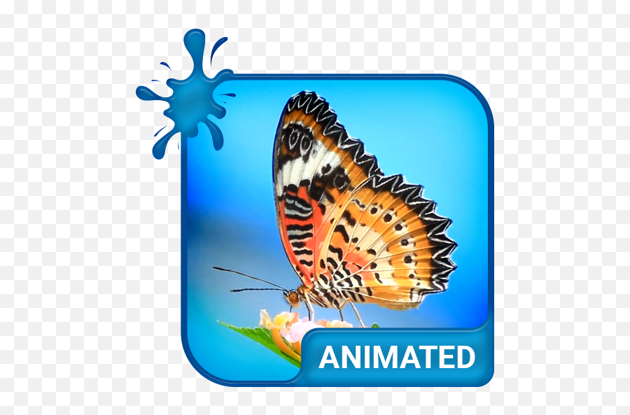 Tiger Butterfly Keyboard Live Wallpaper - Apps On Google Play Emoji,Butterfly Emoticon Android