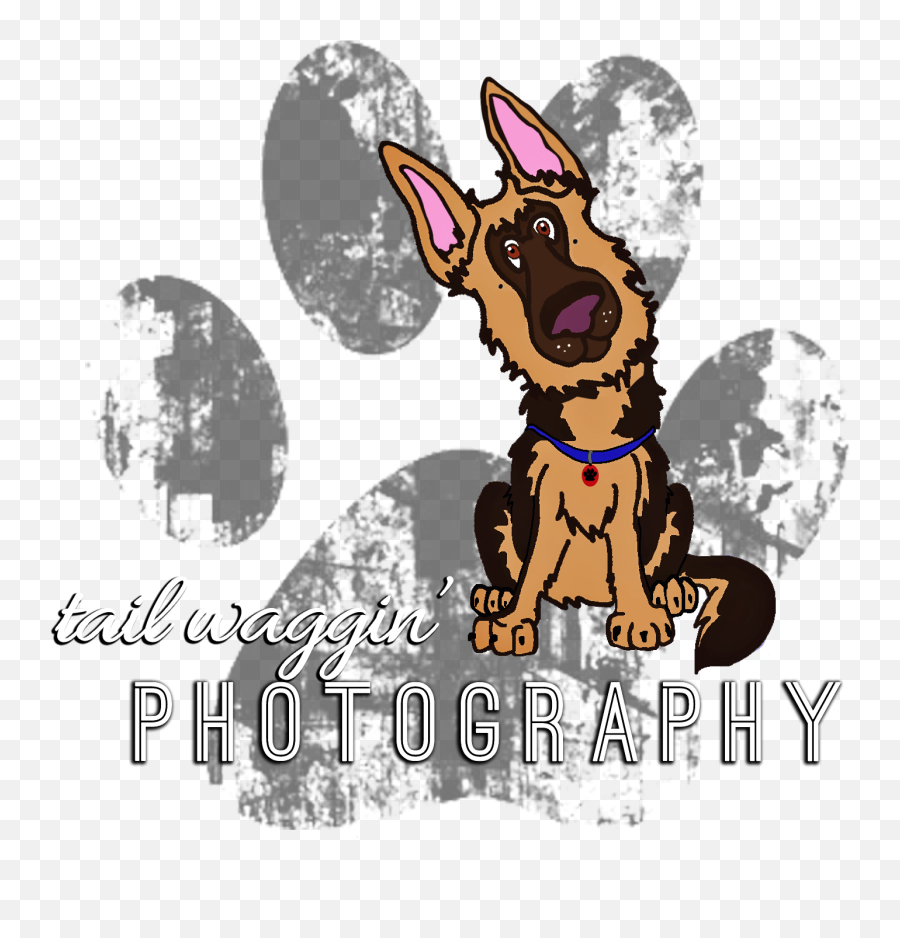 Tail Wagginu0027 Photography - Pets Family And Weddings Emoji,Cosplay Ears React To Emotion