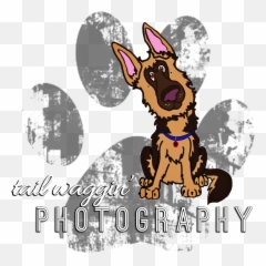Tail Wagginu0027 Photography - Pets Family And Weddings Emoji,Cosplay Ears React To Emotion