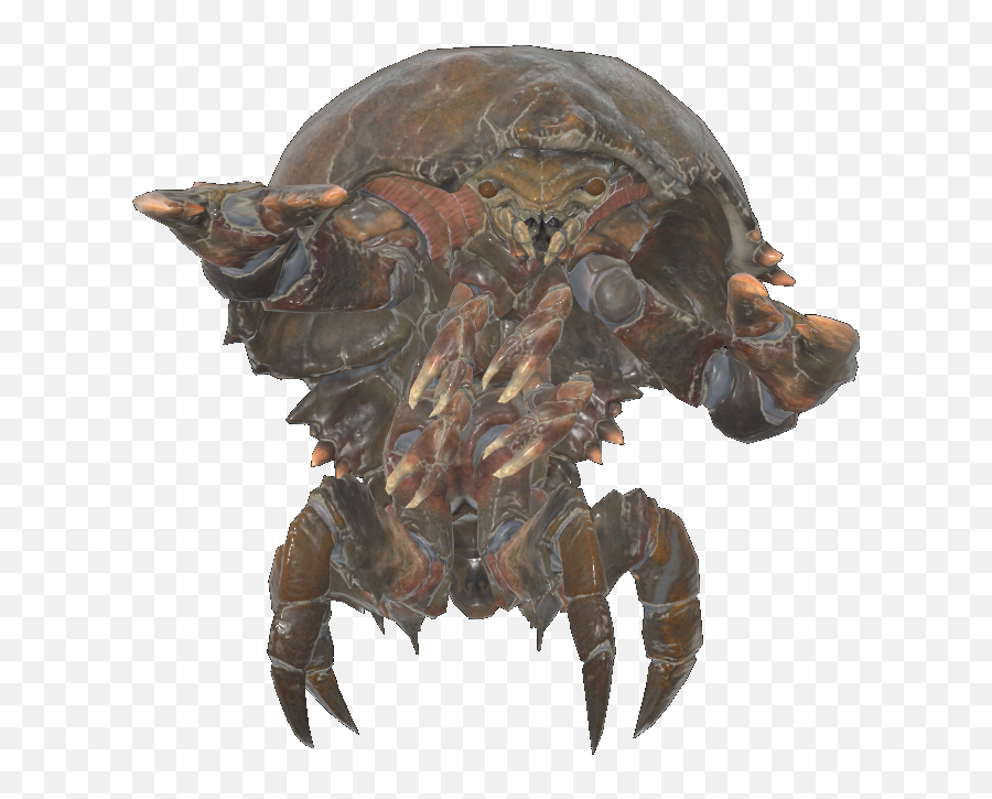 Mirelurk Fallout Wiki Fandom Emoji,Danse Emotion Fallout