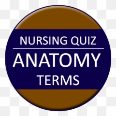 2021 Nursing Exam Quiz - Medical U0026 Nursing Termsanatomy Ostomy Toronto Emoji,Emoji Quiz Level 4