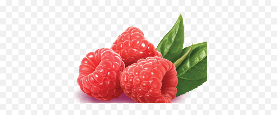 Red Raspberry Png U0026 Free Red Raspberrypng Transparent - Raspberry Png Emoji,Rasberry Emoji
