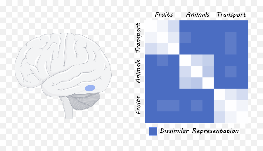 Partially Overlapping Representations Of Speech And Sign Emoji,Fruit Emojis Meaning
