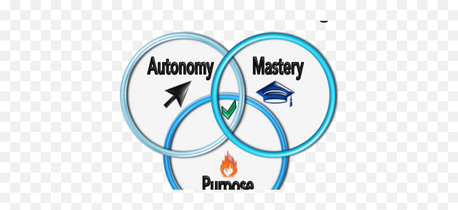 The Flow Of Intrinsic Motivation 3 Emoji,Flow Of Emotions