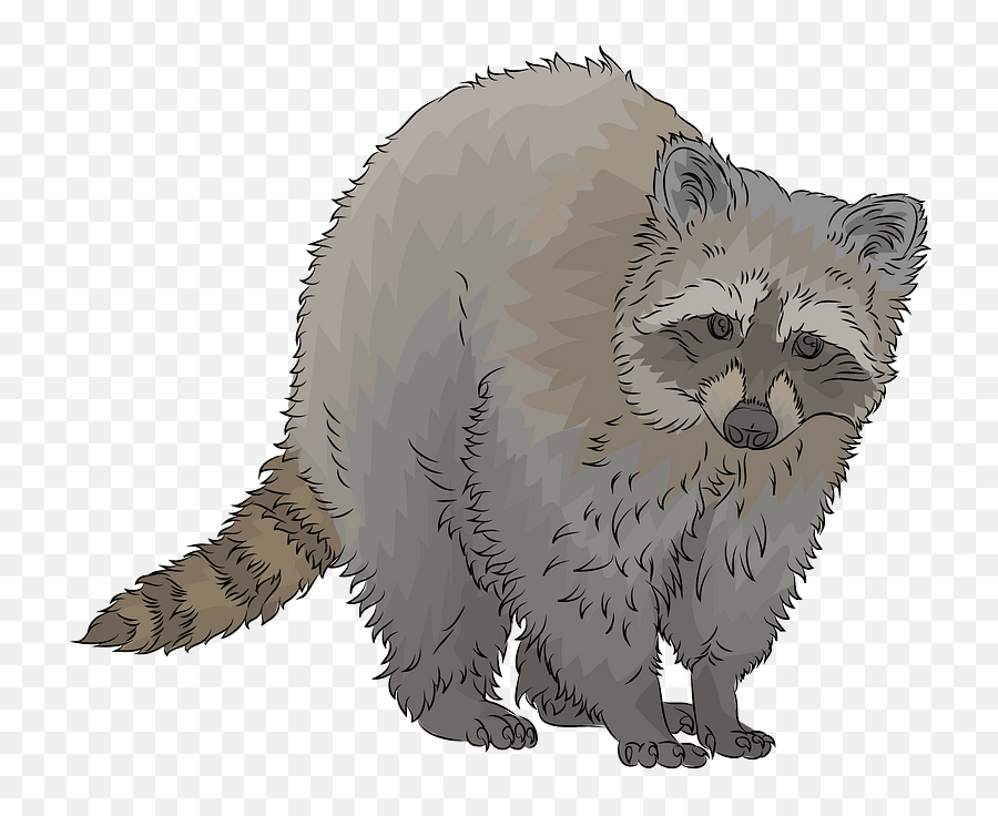 Raccoon Clipart Free Download Transparent Png Creazilla - Raccoon Clipart Emoji,Racoon Emoji