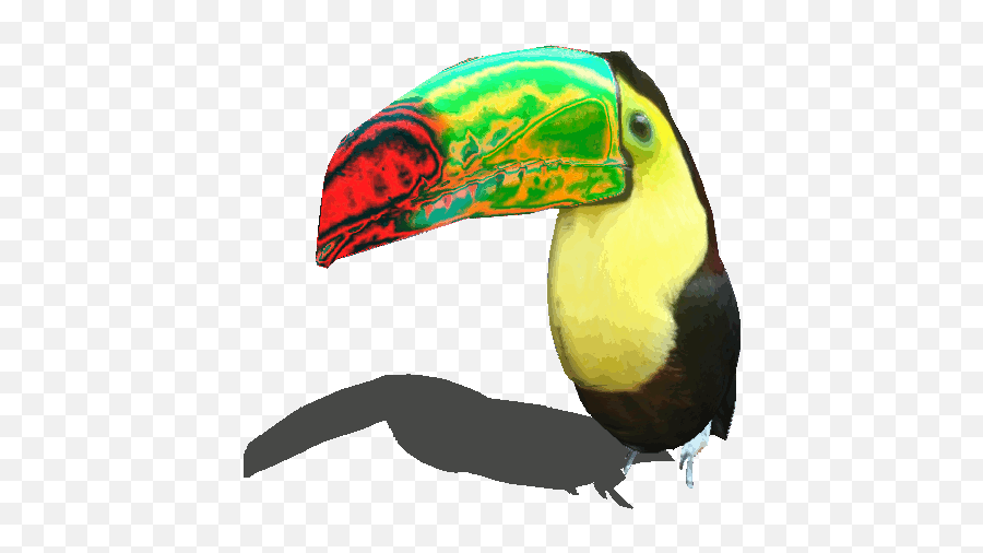 Top Wow Rogue Pvp Stickers For Android - Toucan Gif Cartoon Emoji,Rogue Warcraft Emoji