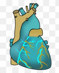 Vector Clip Art - Clip Art Heart Organ Png Download Full Heart Emoji,Emoji Transplant