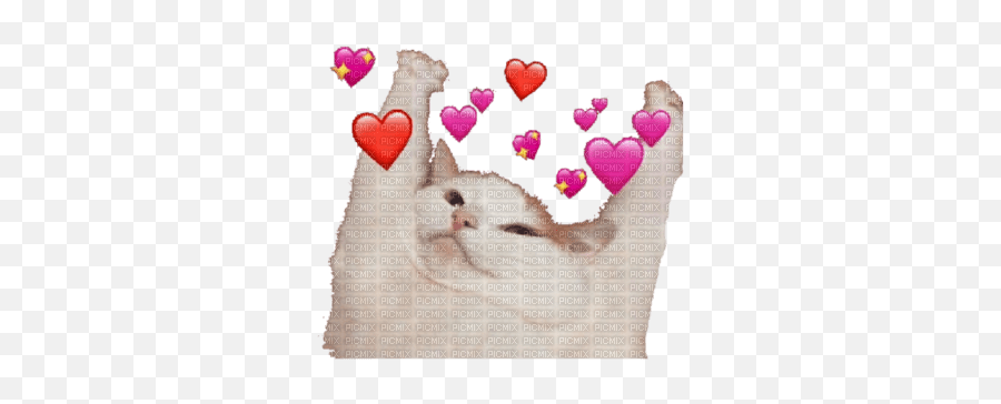 Wholesome Cat Meme Cat Hearts Meme - Girly Emoji,Wholesome Memes Emojis