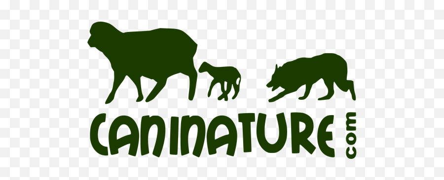 Do Carnivorous Animals Feel Guilt For - Animal Figure Emoji,Panther Animal Emotion