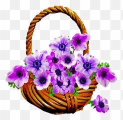 Free Photo Anemone Purple Floral Basket Watercolor Flowers Emoji,Bialetti Emotion Moko