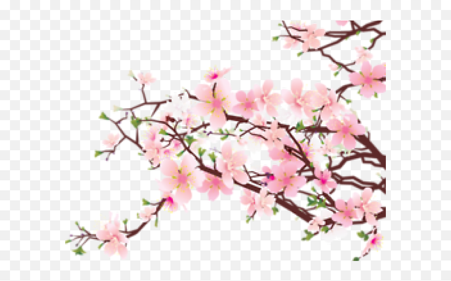Cherry Blossom Clipart Transparent Tumblr - Cherry Blossom Transparent Cherry Blossom Png Emoji,Cherry Blossom Emoticon