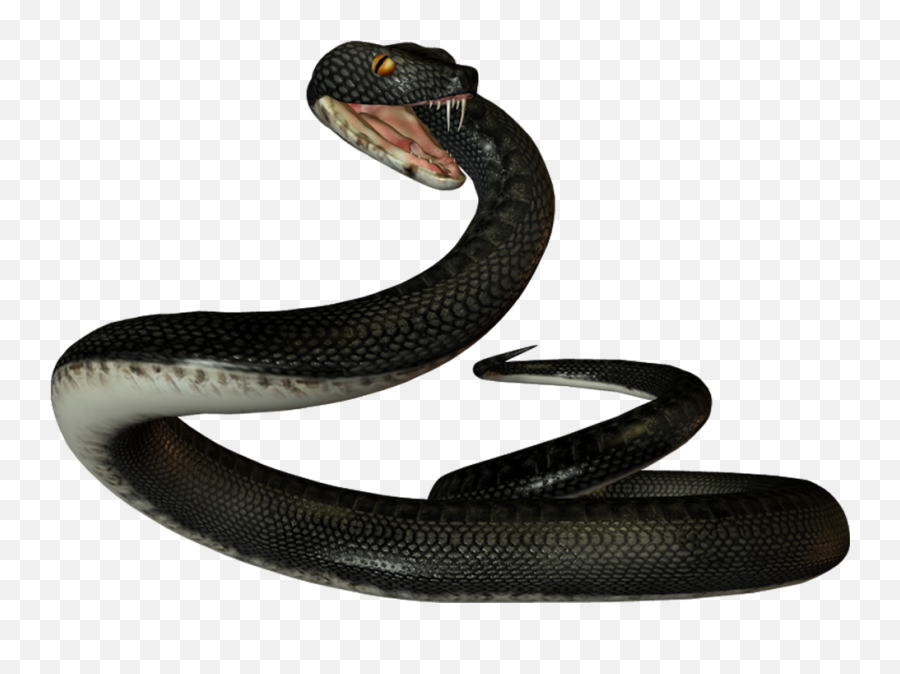 Black Mamba Emoji Png Transparent Images Png Arts - Black Viper Snake Png,Snakes Emoji