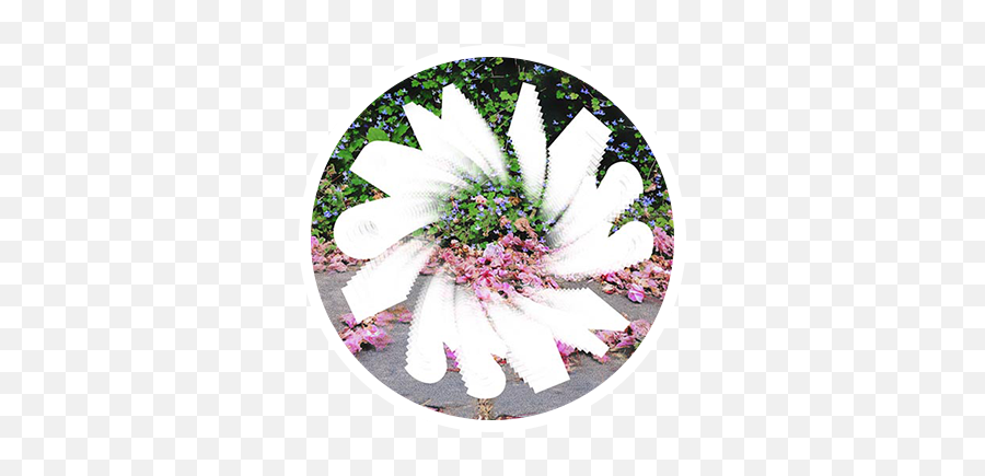 Fleur Sans Cesse - Lovely Emoji,Fleur Emoji Fleur Sans Cesse - Lovely Emoji,Fleur Emoji