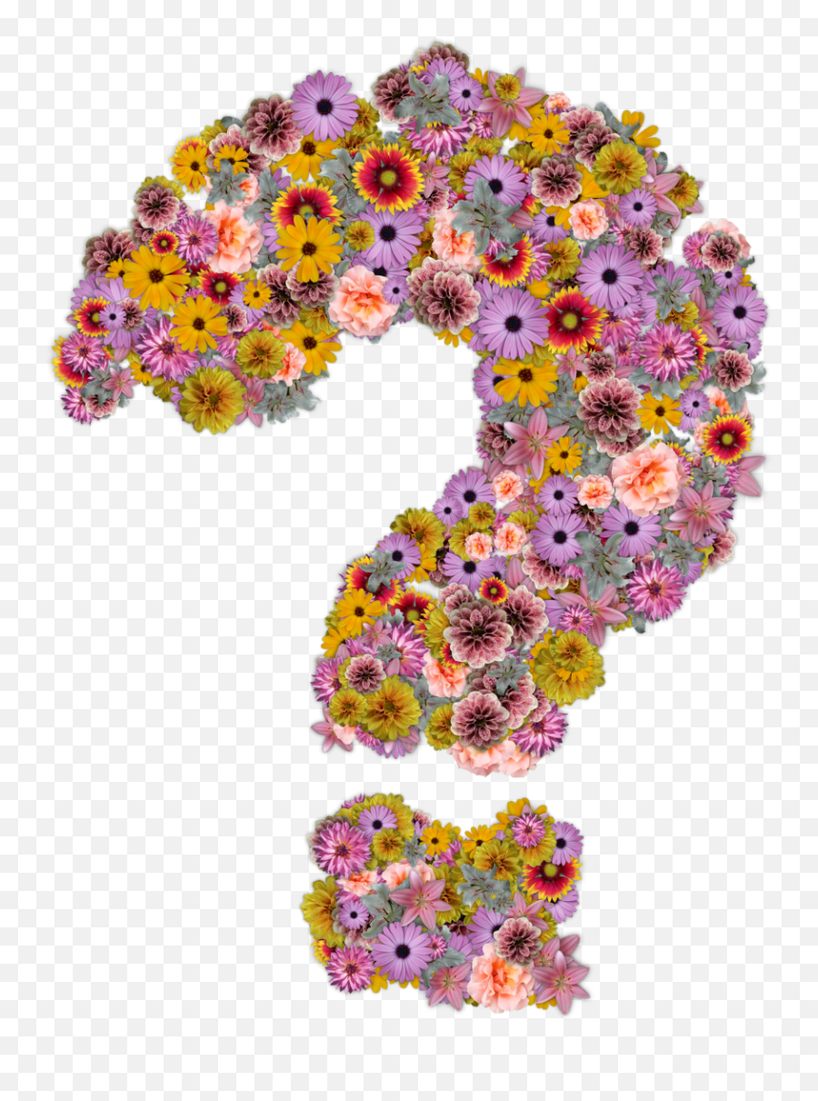 Interrogation - Flower With Question Mark Transparent Png Flower Question Mark Emoji,Question Mark Emoji Png