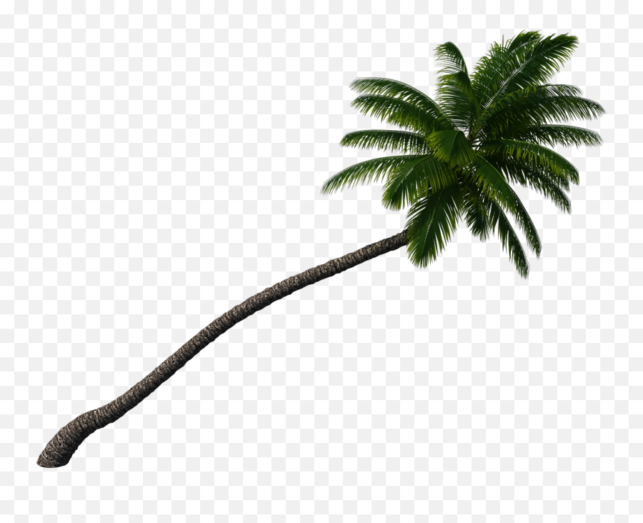 Palm Tree Palmtree Sticker - Vertical Emoji,Palmtree Emoji