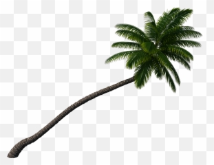 Palm Tree Palmtree Sticker - Vertical Emoji,Palmtree Emoji