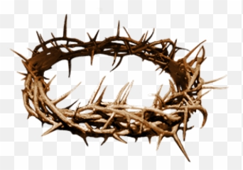 Thorns Clipart Crown Thorns - Jesus Thorn Crown Png Twig Emoji,Thorn Emoji