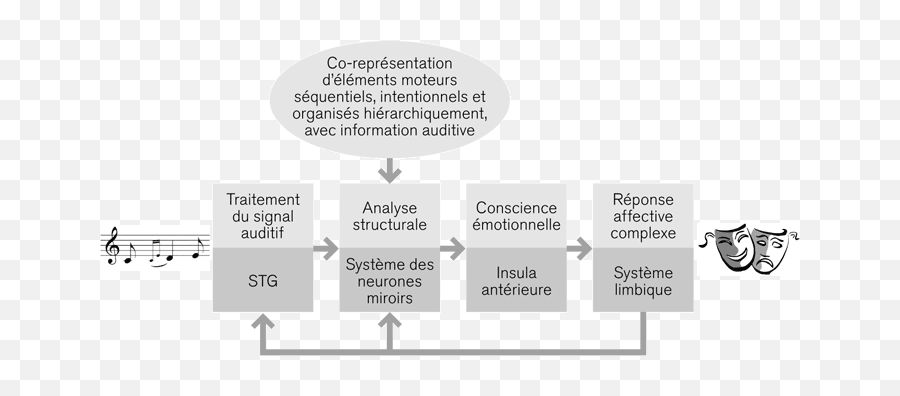 Mouvement Musical Et Neurones Miroirs - Language Emoji,Cerveau Gauche Emotion