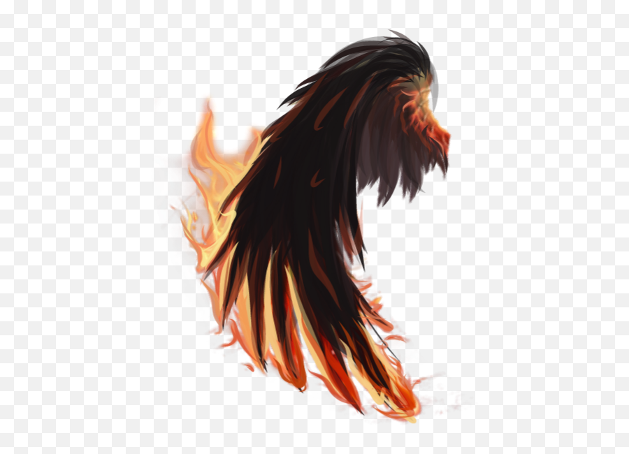 Fire Wings Firewings Tumblr Sticker By - Flame Emoji,How To Draw Fire Emoji