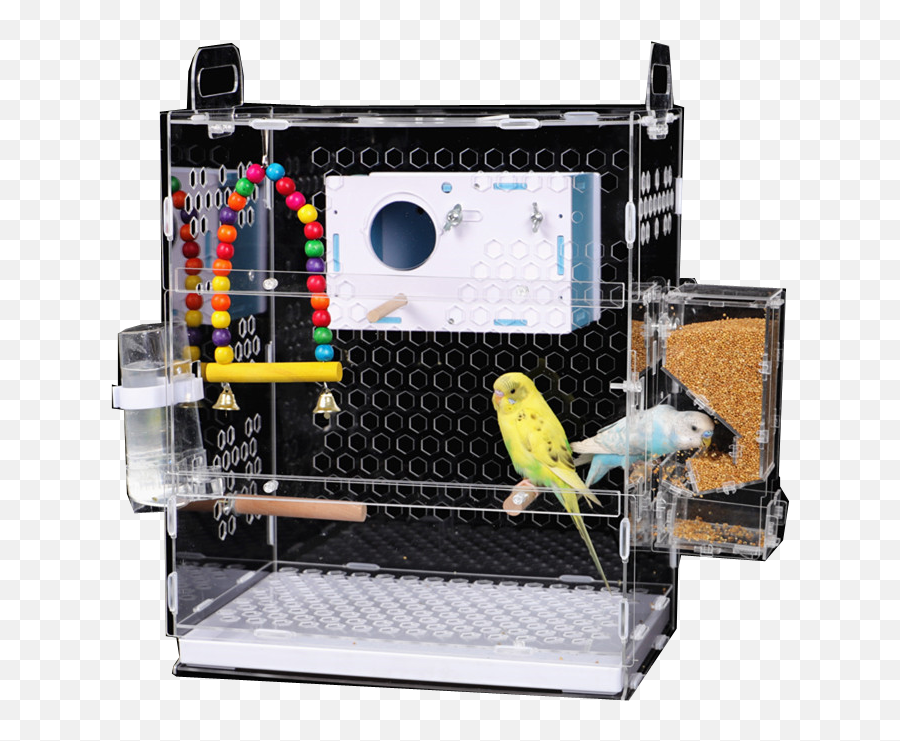 Acrylic Bird Cake Parrot Bird Cage - Gaiola Acrilico Para Passaros Emoji,Glass Cageof Emotion