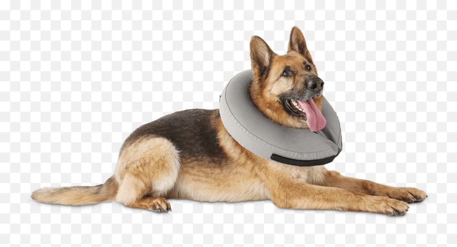 Well Good Inflatable Collar For Dogs Emoji,Neutered Dog Emoticons