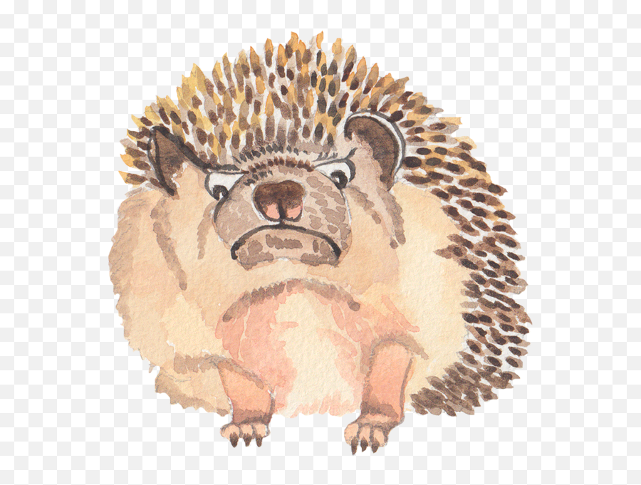Grumpy Animals By Rhea Dennis By Rhea Dennis - Domesticated Hedgehog Emoji,Porcupine Emoji