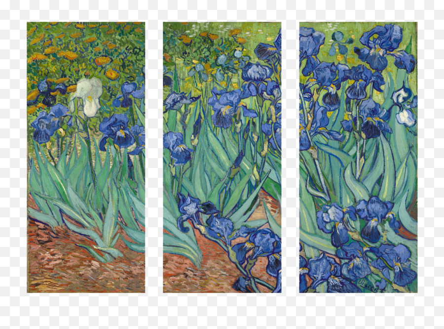 Irises - Blue Iris Vincent Van Gogh Emoji,How To Make A Presentation Showing Emotion About Van Gogh