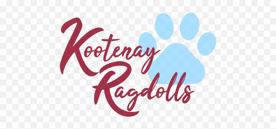 Kootenay Ragdolls U2013 Tica Registered Traditional And Mink - Language Emoji,Large Emotions Rag Doll