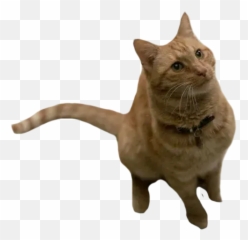Brie Larson Sticker Pack Emoji,Brie Larson Emotion