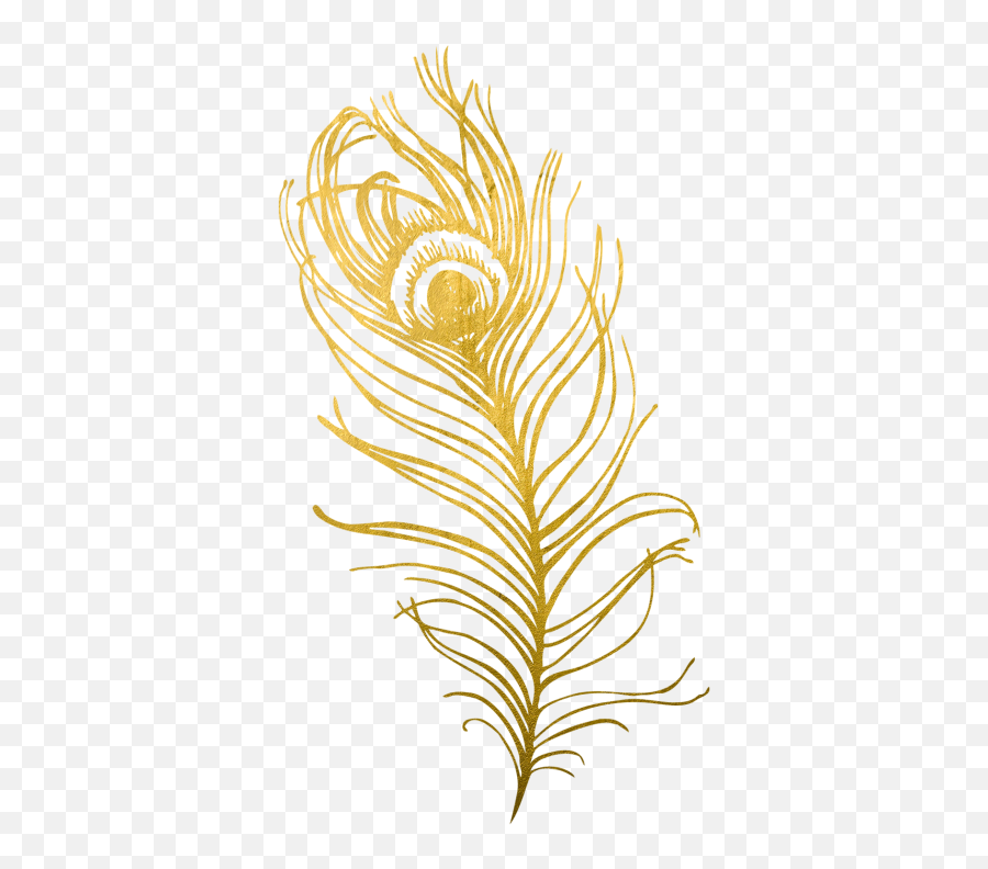 Peacock Feather Png Designs - 3109 Transparentpng Emoji,Adult Emojis Peacock Feather Drawing