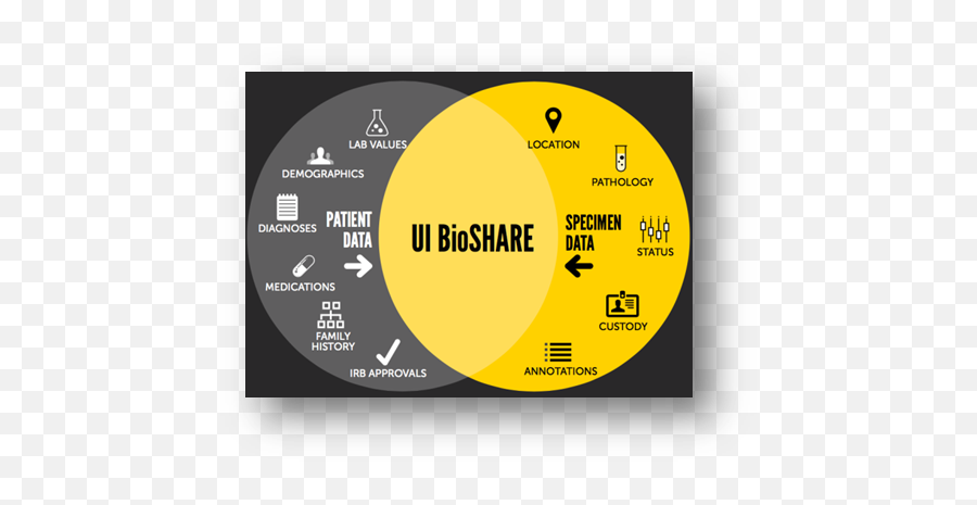 Ui Bioshare Home - Ui Bioshare Uiowa Wiki Emoji,Emoticon Graduado