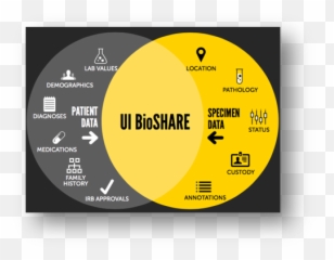 Ui Bioshare Home - Ui Bioshare Uiowa Wiki Emoji,Emoticon Graduado