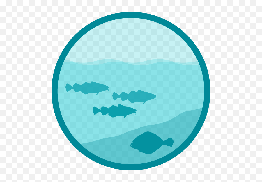 State Of The Ecosystem Emoji,Fish Claymwedding Ring Emoji