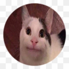 Meow Meow - Roblox Emoji,Emoji With Flat Mouth