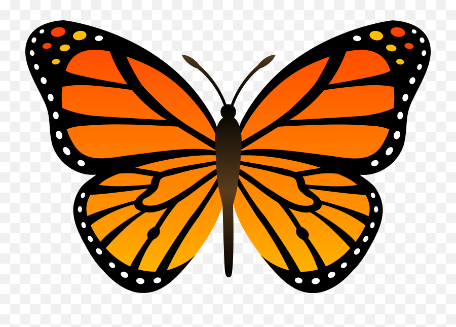 Monarch Butterfly Png Download Image - Clipart Monarch Butterfly Emoji,Butterfly Emoji Png