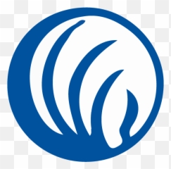Nami Treasure Valley Mightycause - Transparent Nami Logo Png Emoji,Boise State Emoticon