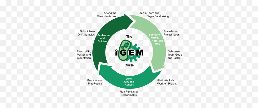 Sitemap - 2020igemorg Igem Competition Emoji,Msp Emojis To Paste